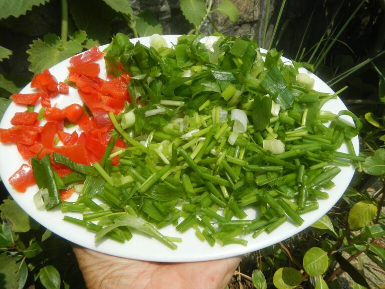 Food ingredients of home cooking Sili - Philippine Chilis textures Siling Fresno Sili Sili - Philippine Chilis in Poblacion, Baliuag, Bulacan Timeline of the 2020 coronavirus pandemic in the Philippines 2020 coronavirus pandemic in the Philippines Bayanihan to Heal as One Act (RA 11469) Bayanihan Act of 2020. Signed on March 24, 2020 7,958 Covid-19 cases in Philippines April 28; 12,933 as of May 19, 2020; 14,669 Covid-19 cases in Philippines May 26; 886 deaths; Covid-19 cases in Philippines June 2 - 18,997 and 966 deaths; August 15 - 157,918 cases COVID-19 Philippines, 72,209 recovered, 2,600 deaths; August 16 - 161,253 cases COVID-19 Philippines, new cases 3,420, 112,586 recovered, 2,665deaths; August 17 - 164,474 cases COVID-19 Philippines, new cases 3,420, 112,759 recovered, 2,681 deaths; August 18 - 169,213 cases COVID-19 Philippines, new cases 4,836, 53,665 active cases; 112,861 recovered, 2,687 deaths; Category:Sitios and puroks of the Philippines Subdivisions of the Philippines Barangay Poblacion 14°57'17"N 120°54'2"E, Baliuag, Bulacan, Bulacan province taken under weather conditions of Habagat Monsoon of South Asia and exit of Tropical Storm Higos (Helen) Intertropical Convergence Zone Low Pressure Area (LPA) Southwest Monsoon (Note: Judge Florentino Floro, the owner, to repeat, Donor FlorentinoFloro of all these photos hereby donate gratuitously, freely and unconditionally Judge Floro all these photos to and for Wikimedia Commons, exclusively, for public use of the public domain, and again without any condition whatsoever).