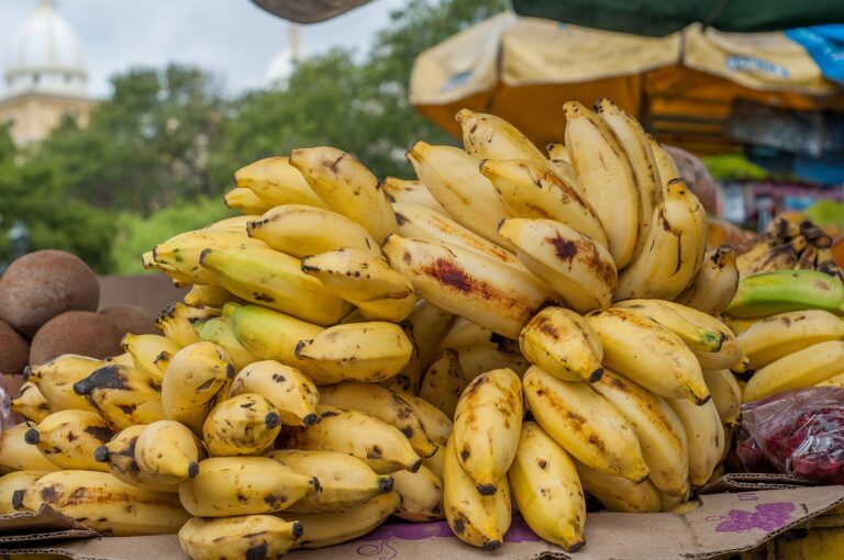 Bunch of bananas on sale in Maracaibo, Venezuela