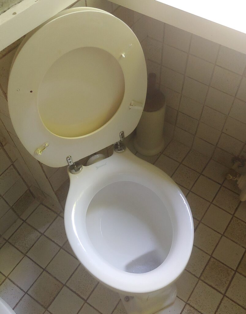 vintage water closet in Trieste