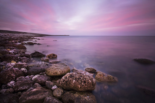 Pink sunset