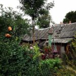 Огород тракайский #trakai #lithuania