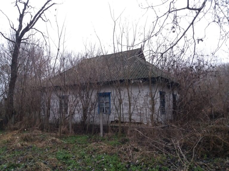 Покинута хата в селі Дача Олександрійського району